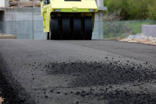 Best Local Driveway Pavers  in Cave Springs, AR