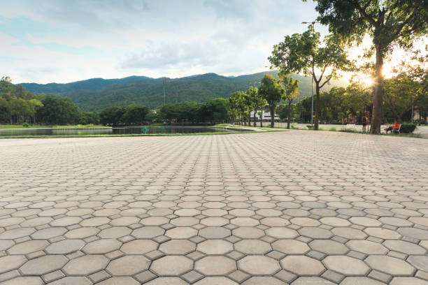Best Driveway Pavers Near Me  in Cave Springs, AR